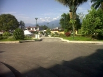 Imagen Árboles